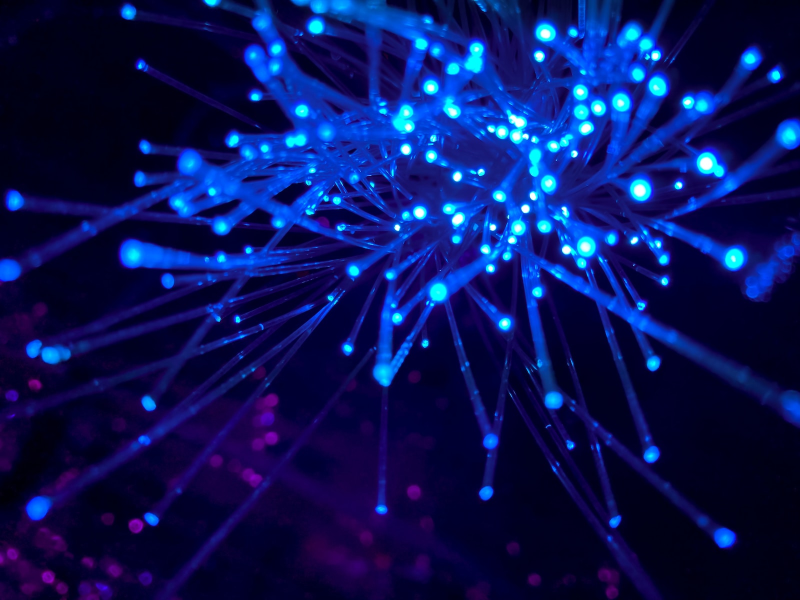 Photo by JJ Ying purple and blue light digital wallpaper